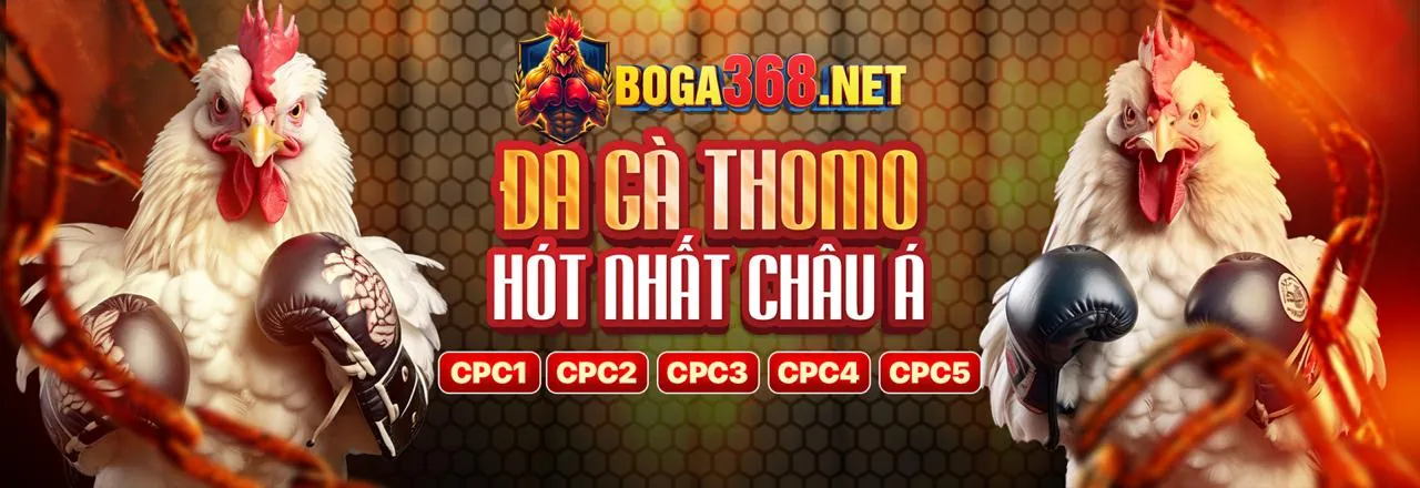 Tải ứng dụng letou thể thao