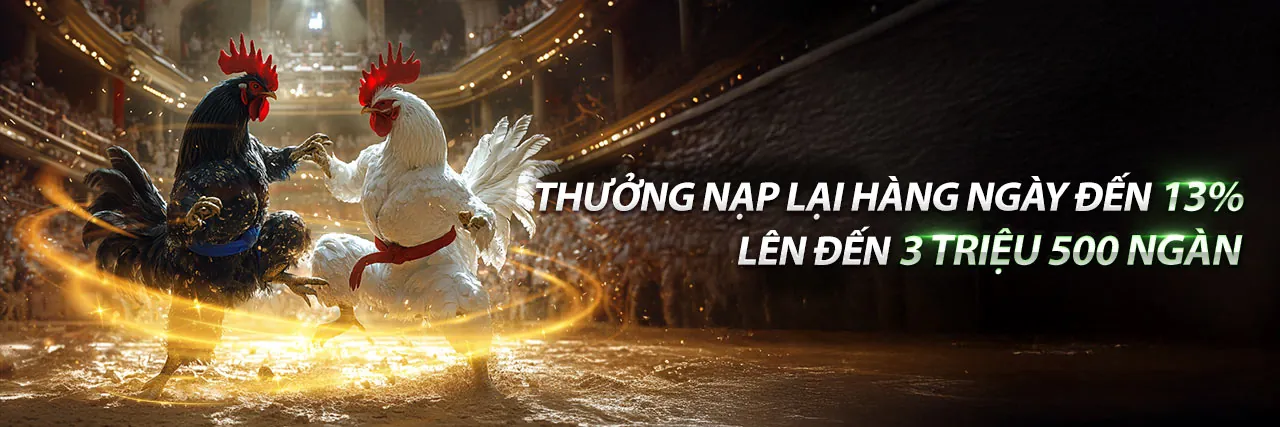 Tin tức letou thể thao mới nhất